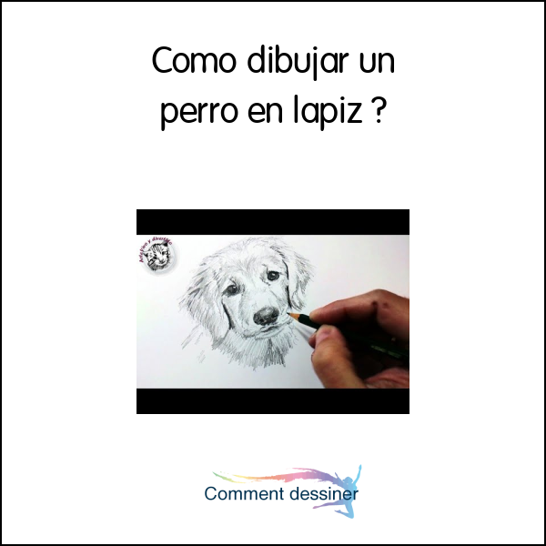 Como dibujar un perro en lapiz